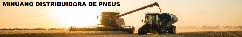 MINUANO DISTRIBUIDORA DE PNEUS